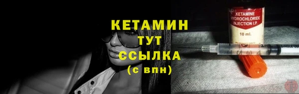 прущие грибы Белокуриха