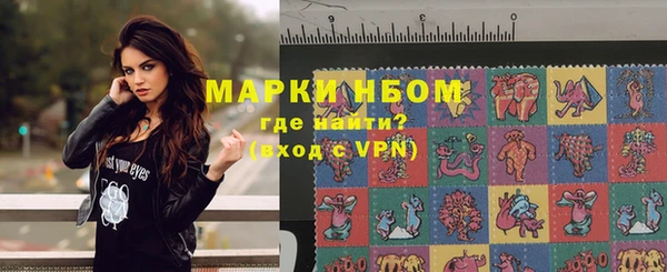 прущие грибы Белокуриха