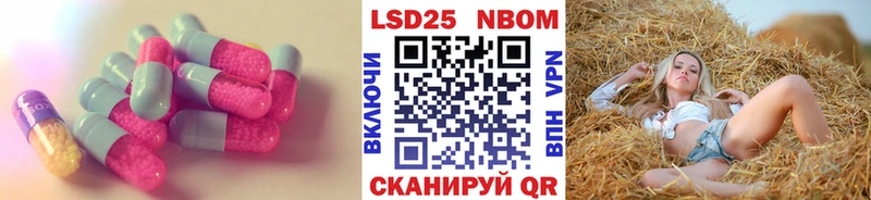 наркотики  Карачаевск  LSD-25 экстази ecstasy 